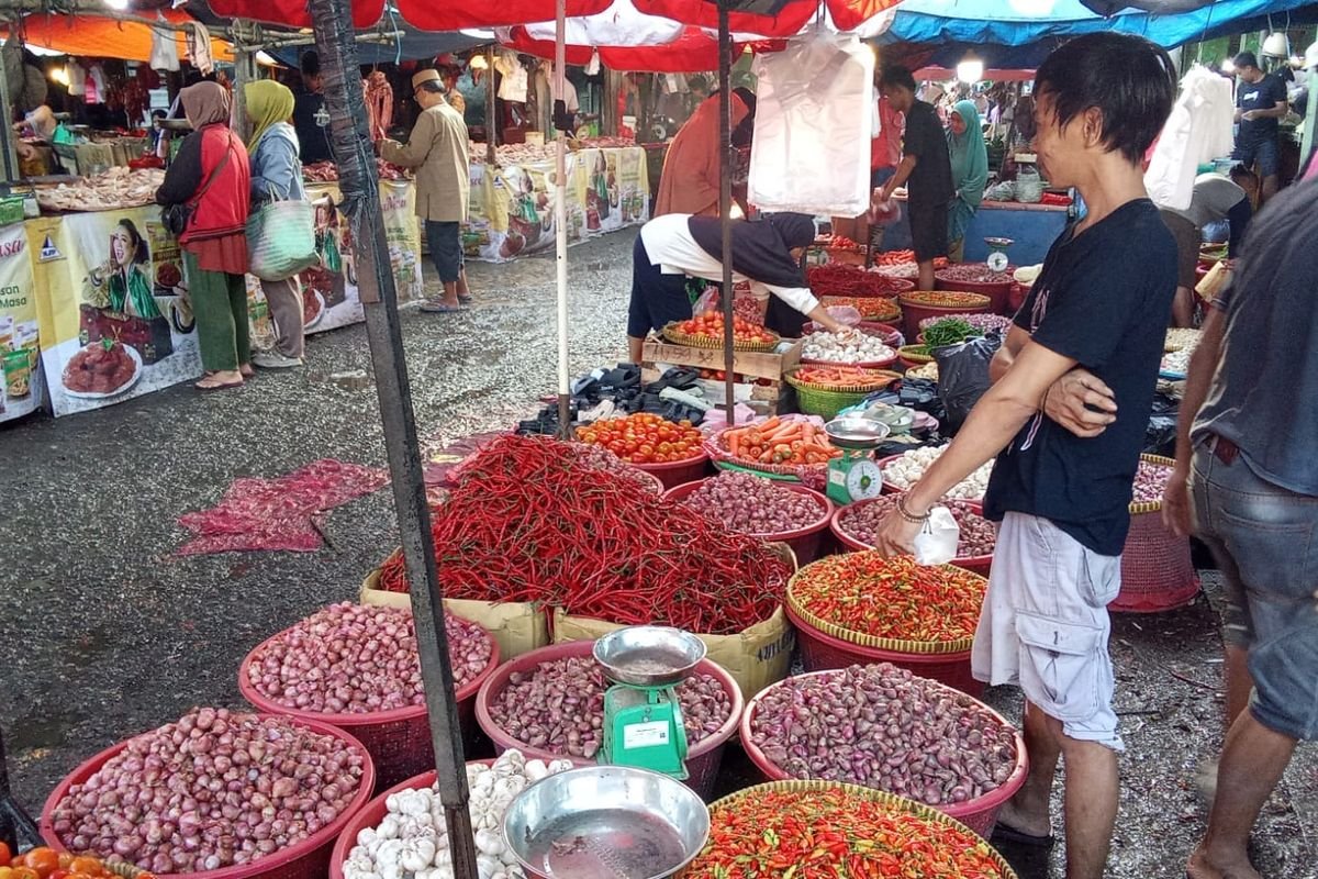 Harga Bawang Putih