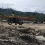 Kayu Gelondongan