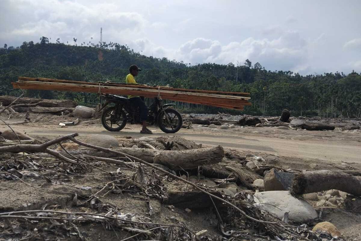 Kayu Gelondongan